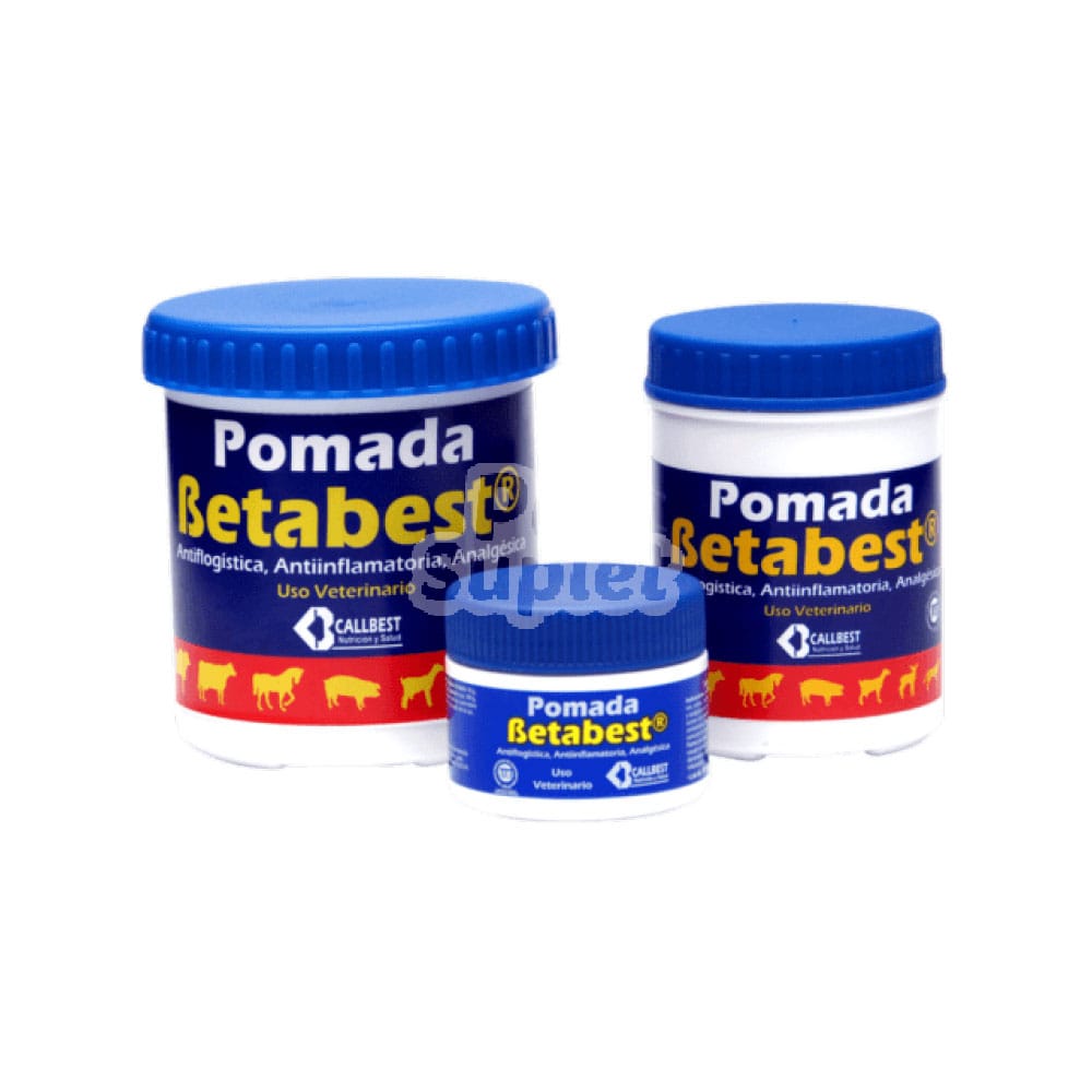 Betabest, comida-para-perros.com