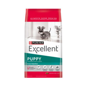 Excellent Puppy Razas Pequeñas 3k