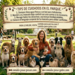 tips-de-la-semana, comida-para-gatos.com, comida-para-gatos.com